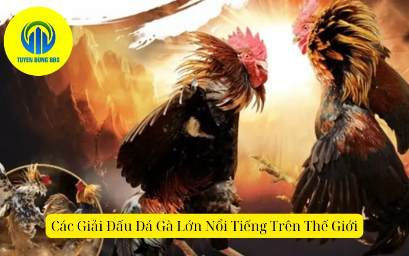 Các Giải Đấu Đá Gà Lớn Nổi Tiếng Trên Thế Giới