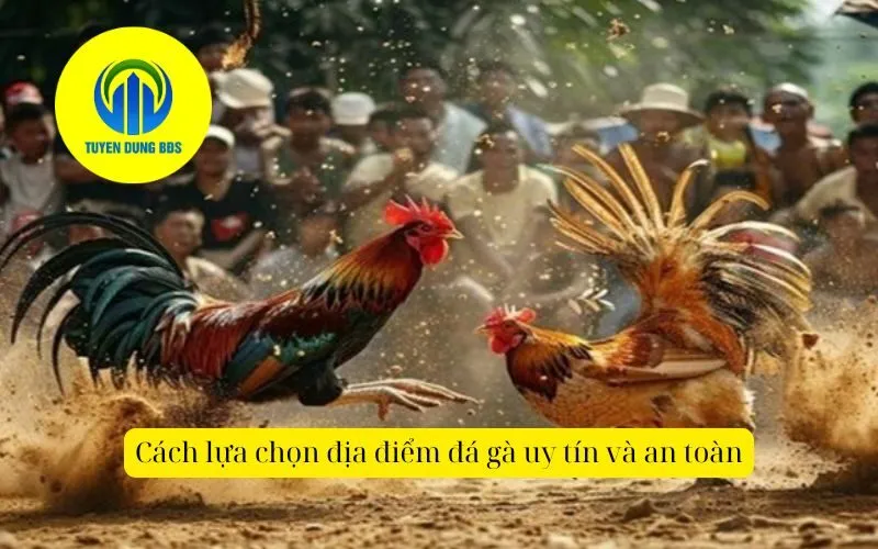 Cách lựa chọn địa điểm đá gà uy tín và an toàn