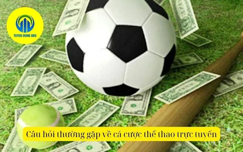 Câu hỏi thường gặp về cá cược thể thao trực tuyến