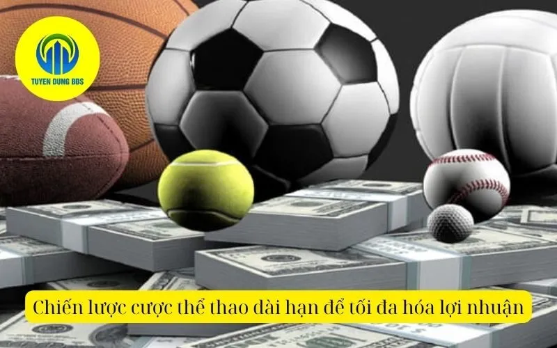 Chiến lược cược thể thao dài hạn để tối đa hóa lợi nhuận