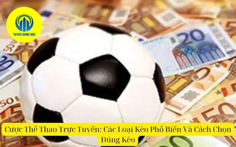 Cược Thể Thao Trực Tuyến Các Loại Kèo Phổ Biến Và Cách Chọn Đúng Kèo