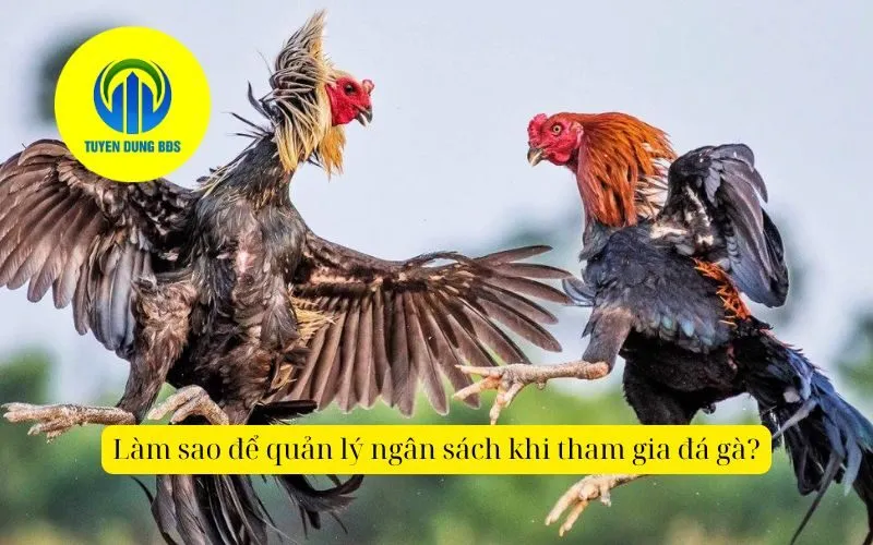 Làm sao để quản lý ngân sách khi tham gia đágà