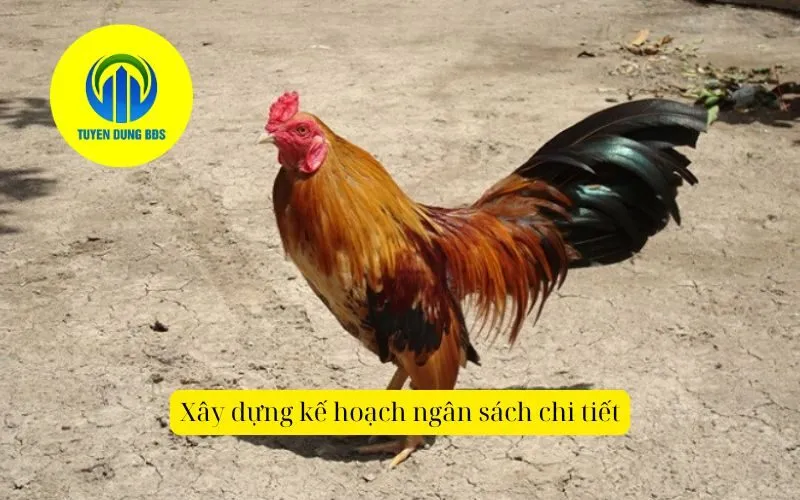 Xây dựng kế hoạch ngân sách chitiết