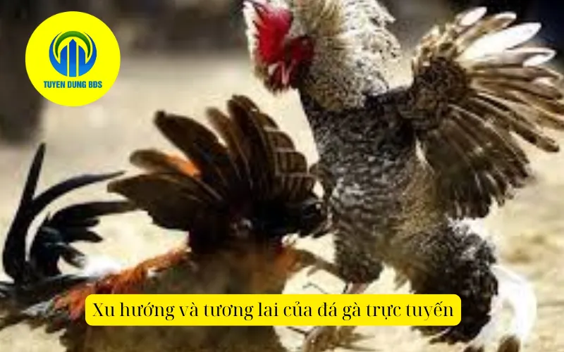 Xu hướng và tương lai của đá gà trực tuyến