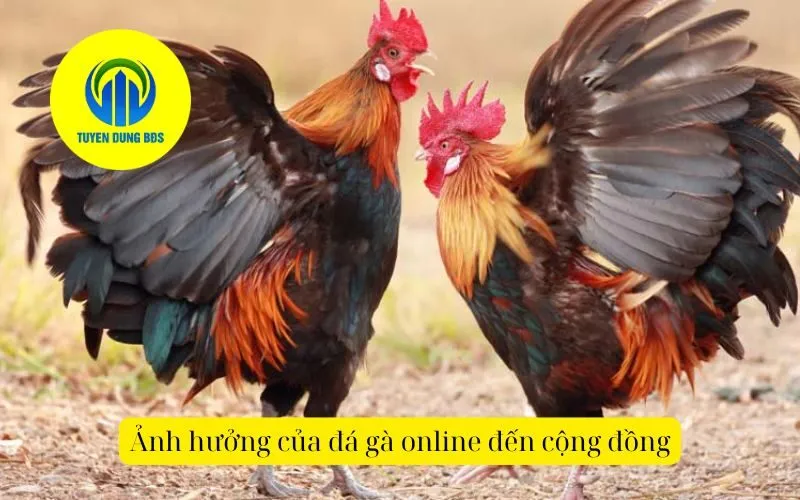 Ảnh hưởng của đá gà online đến cộng đồng