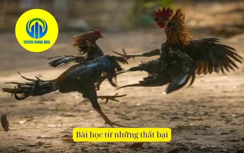 Bài học từ những thất bại