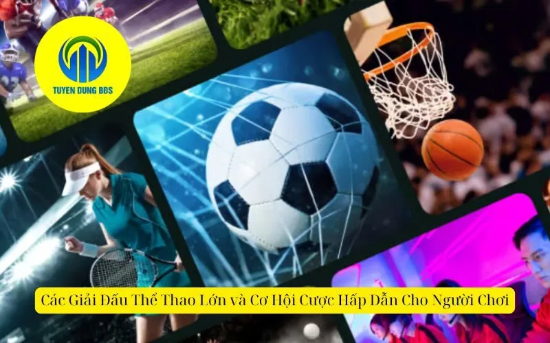 Các Giải Đấu Thể Thao Lớn và Cơ Hội Cược Hấp Dẫn Cho Người Chơi
