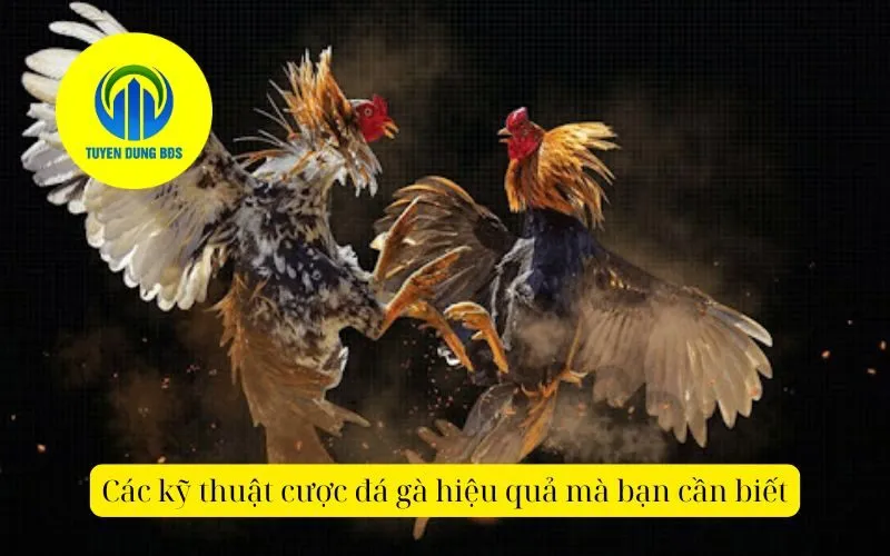 Các kỹ thuật cược đá gà hiệu quả mà bạn cần biết