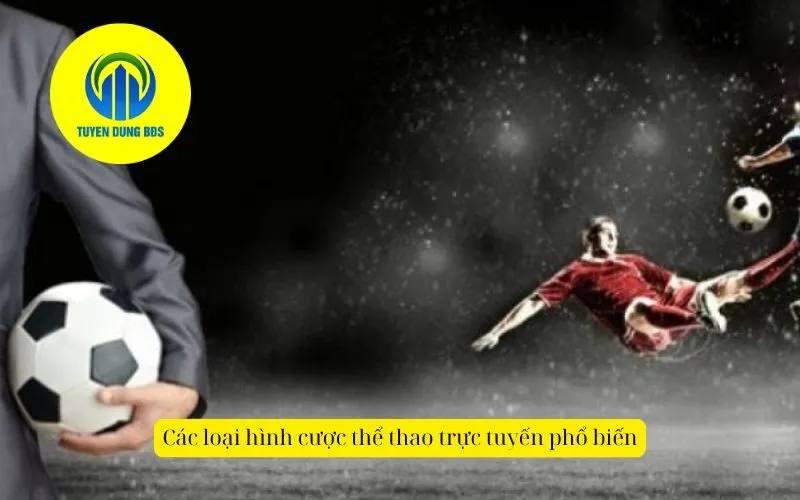 Các loại hình cược thể thao trực tuyến phổ biến