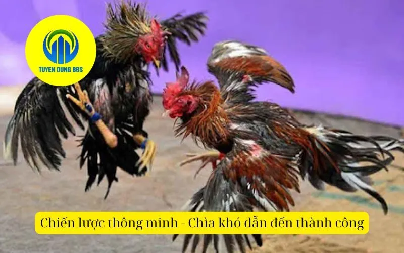 Chiến lược thông minh - Chìa khó dẫn đến thành công