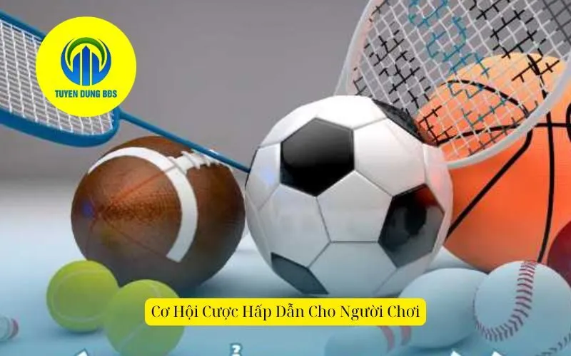 Cơ Hội Cược Hấp Dẫn Cho Người Chơi