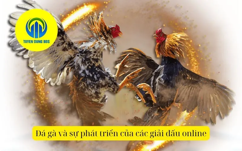 Đá gà và sự phát triển của các giải đấu online