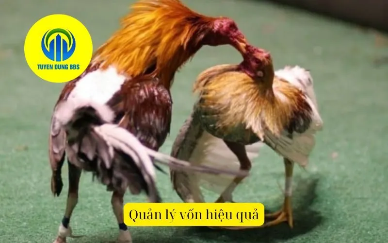 Quản lý vốn hiệu quả