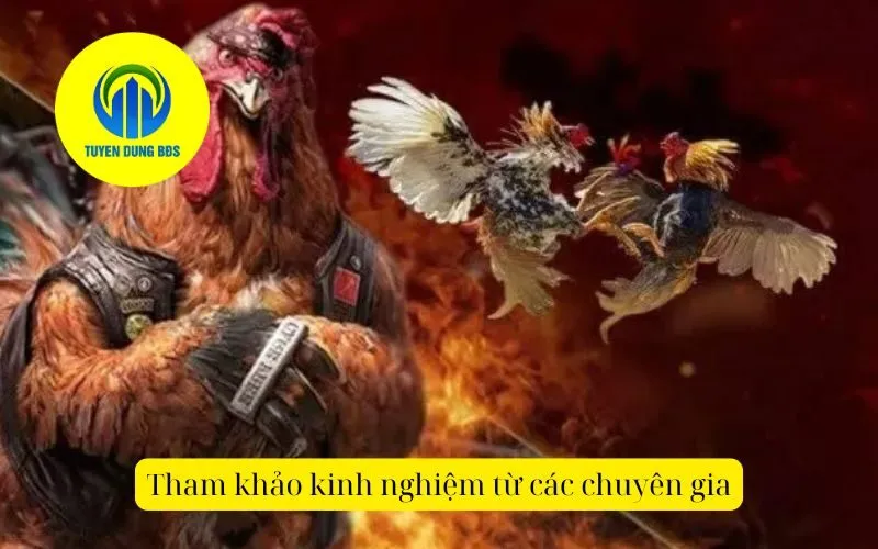 Tham khảo kinh nghiệm từ các chuyên gia
