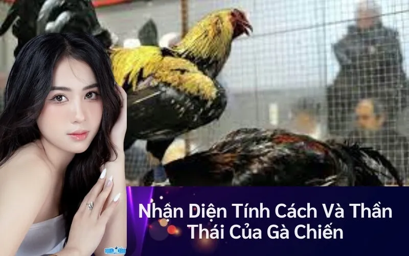 nhan-dien-tinh-cach-va-than-thai-cua-ga-chien