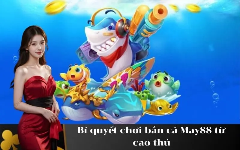 Bí quyết chơi bắn cá May88 từ cao thủ