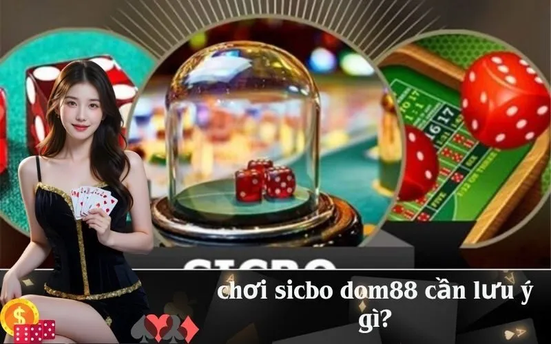 chơi sicbo dom88 cần lưu ý gì?