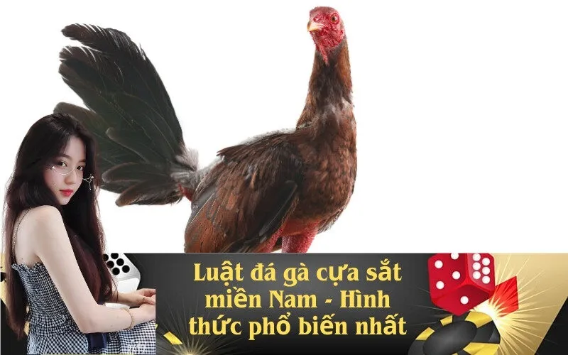 Luật đá gà cựa sắt miền Nam - Hình thức phổ biến nhất