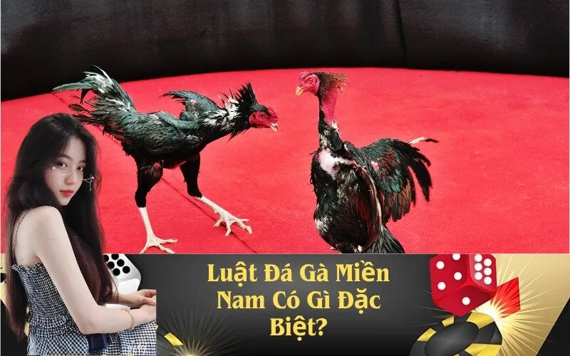 Luật Đá Gà Miền Nam Có Gì Đặc Biệt?