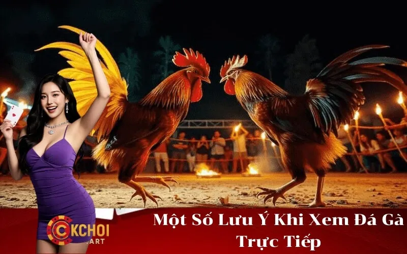 Một Số Lưu Ý Khi Xem Đá Gà Trực Tiếp