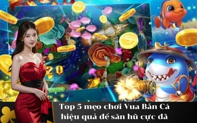 Top 5 mẹo chơi Vua Bắn Cá hiệu quả để săn hũ cực đã