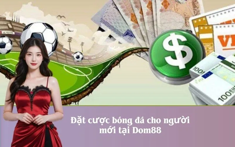 Đặt cược bóng đá cho người mới tại Dom88