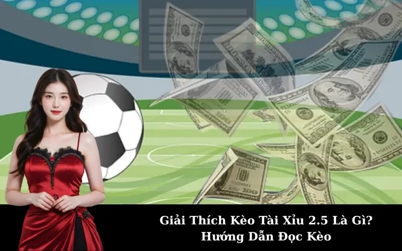 Giải Thích Kèo Tài Xỉu 2.5 Là Gì? Hướng Dẫn Đọc Kèo